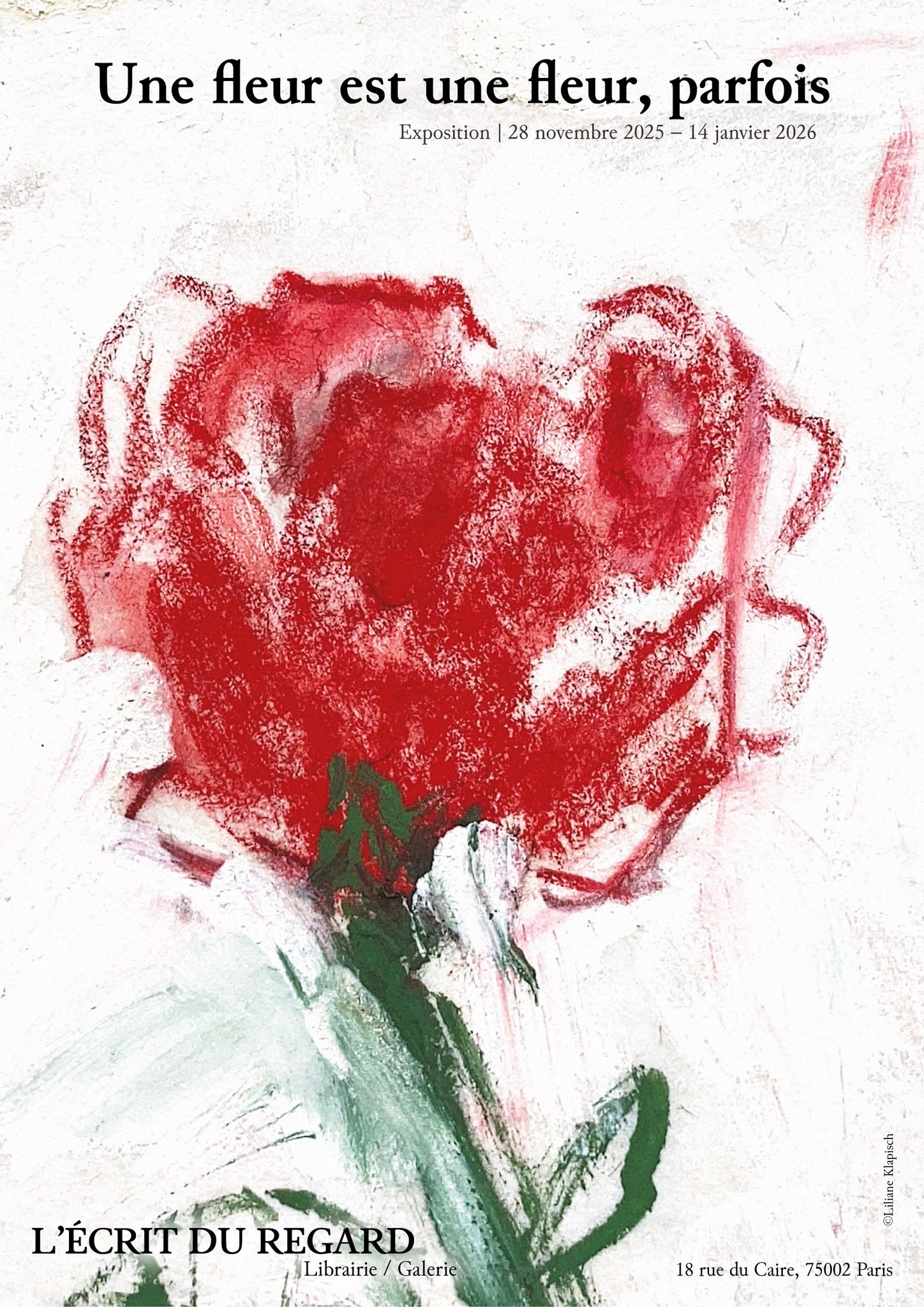 affiche de l'ouverture